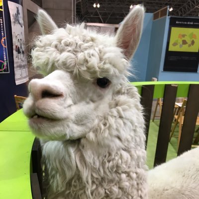 Vitisvinifera3's profile picture. 変わった経歴で音響映像設備の営業さん。でも、現場作業もしなくてはならないので自分の所属がいまいちわからない。