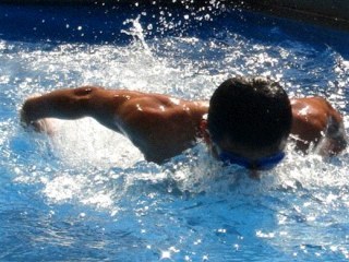 salinmiso9's profile picture. 