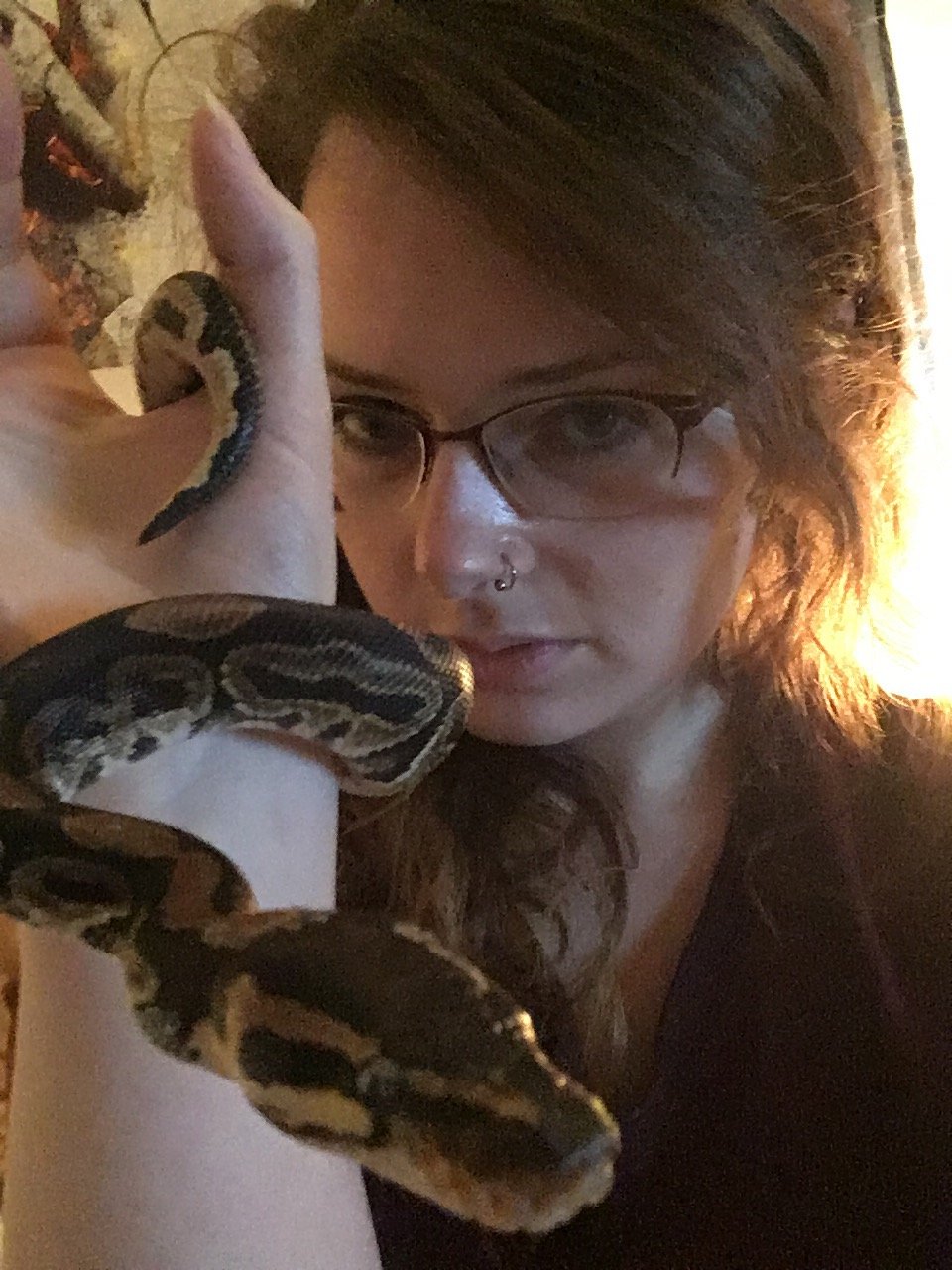 Hemofailia's profile picture. I do science, obsessively follow my favorite MLB teams, read and write things, bang my head to things (and against things), and look at Corgis on the internet.