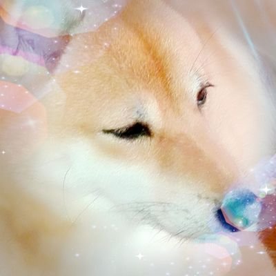 ななふしさんのプロフィール画像