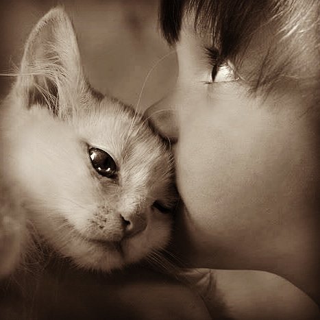 16clop's profile picture. 