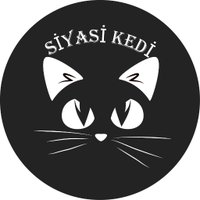 Siyasi Kedi(@kedi_siyasi) 's Twitter Profile Photo