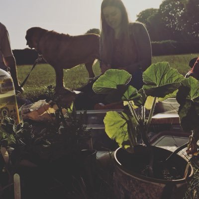 Allotment Lab is a community science project bringing together enthusiastic food growers to use science to explore new food growing knowledge. 🍅🥕🌽
