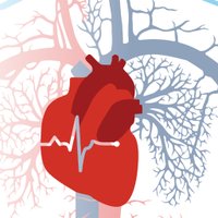 Cardiology Insights (@insights_2019) 's Twitter Profile