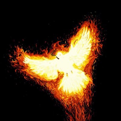 HarmanYakut's profile picture. 