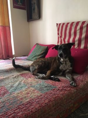 Andava2's profile picture. Learning trading