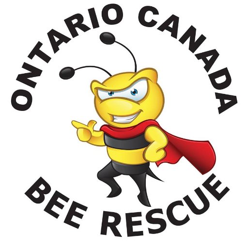 Ontario Bee Rescue is dedicated to saving the honeybees and the humane removal and relocation of honey bee swarms and established honeybee colonies.