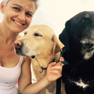 anacamposgesto's profile picture. 