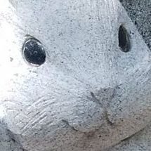 youtube1924's profile picture. 村上信五は癒しの塊