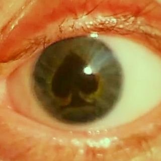 Munkypark's profile picture. I don't get out much