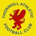 Thornhill AFC (@ThornhillAthFC) Twitter profile photo