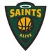 Saints Alive TBT (@Team_Saints_) Twitter profile photo