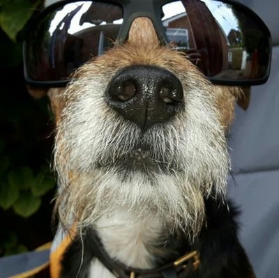 SmokeeLou's profile picture. Be a happy warrior.