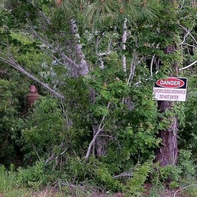 Securelyobscure's profile picture. Security Viking