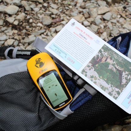 torealtea's profile picture. 