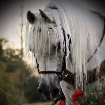 reyma89's profile picture. 