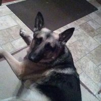 R. Walker (@bamfjudewalker) 's Twitter Profile