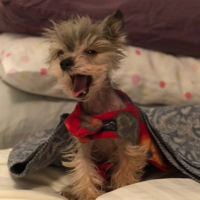 MarissaTafuri's profile picture. 