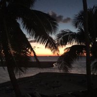 Hailey Cox (@haileyc73599710) 's Twitter Profile