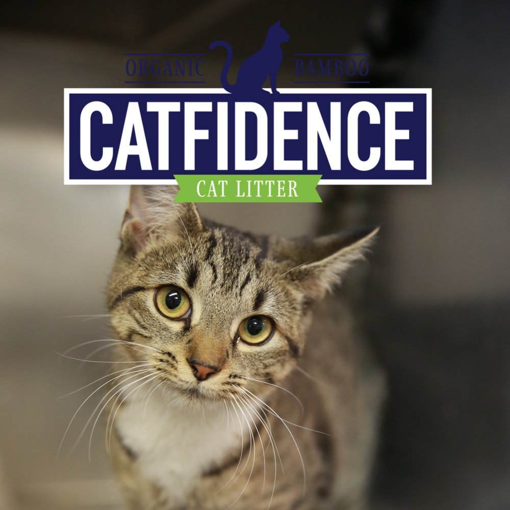 Introducing Catfidence™ our 100% organic cat litter made from sustainably grown bamboo! 
~5X the water absorption
~USDA certified with 98% bio-preferred rating