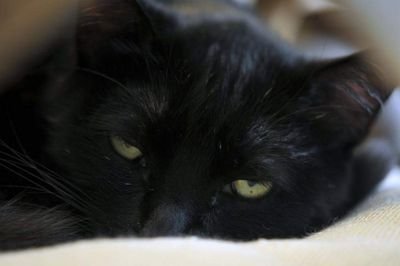 iAZQTF83alhToai's profile picture. 09.12.2017 tarihinde bizi bırakıp gitti