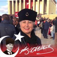 🇹🇷nilss🇹🇷💛💙 (@bilgenil) Twitter profile photo