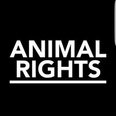 ProtectThe2's profile picture. Respect all lives on this planet. Let's stand together for the voiceless #nomoreabuse #stopanimalcruelty