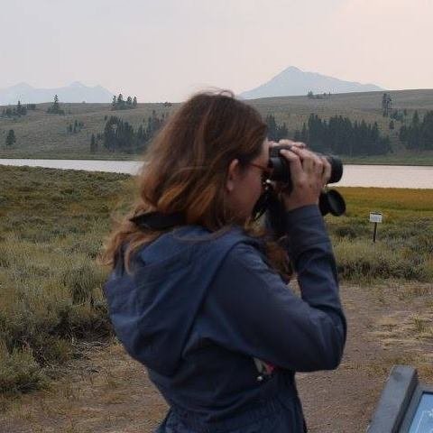 https://t.co/TRFPL9TdEz Student at Western. Ornithology. Disease Ecology. Malaria. Birdwatching. Embroidery. Book Reviews. #westernuBio #ornithology #embroidery #FeminSTEM