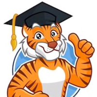 Rosa Taylor Tigers (@_rosataylor) 's Twitter Profile
