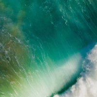 ネコ（^ΦωΦ^） (@cytus222222) Twitter profile photo