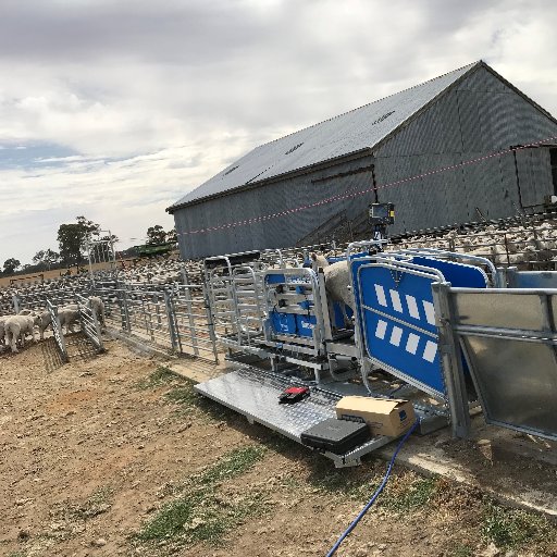 te_pariAUS's profile picture. No1 in livestock handling equipment.