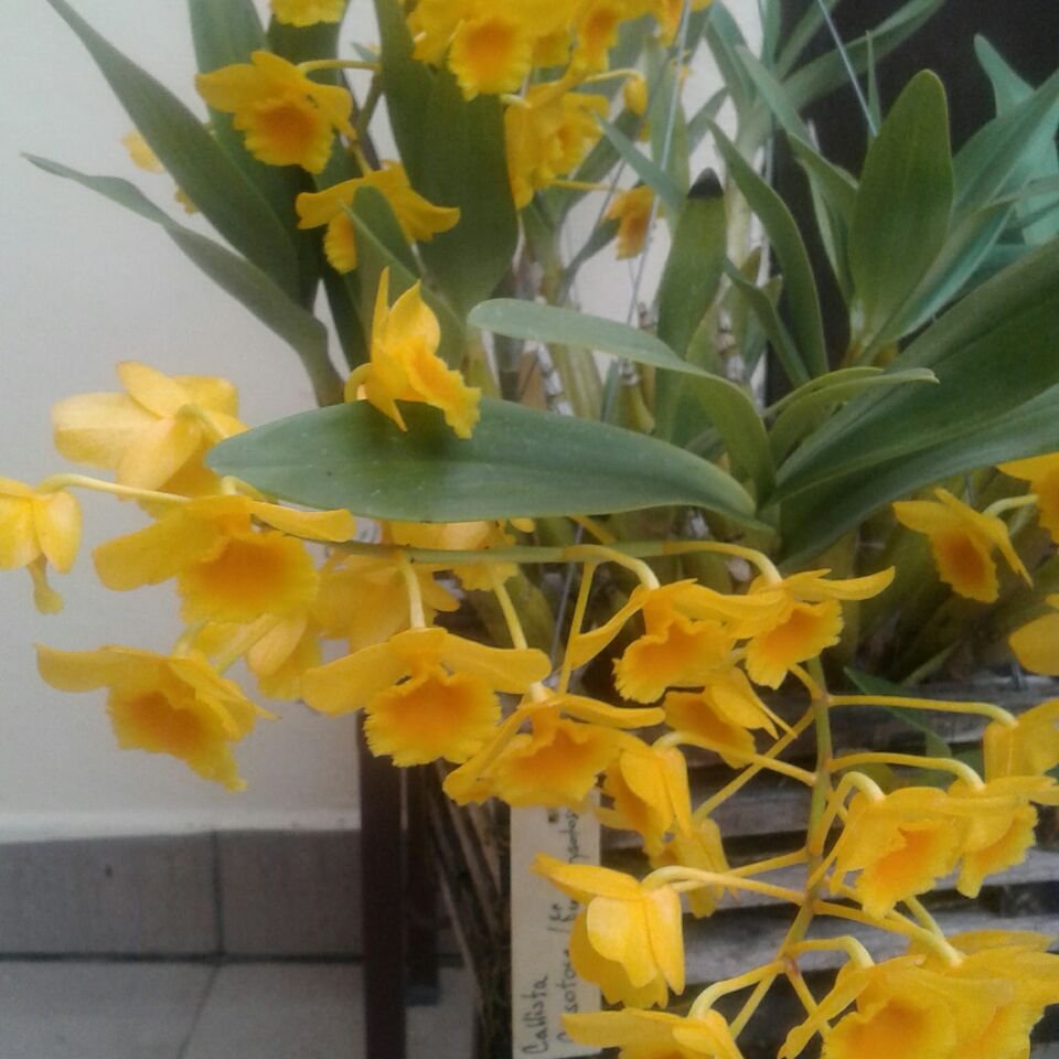 lu314ta1's profile picture. 