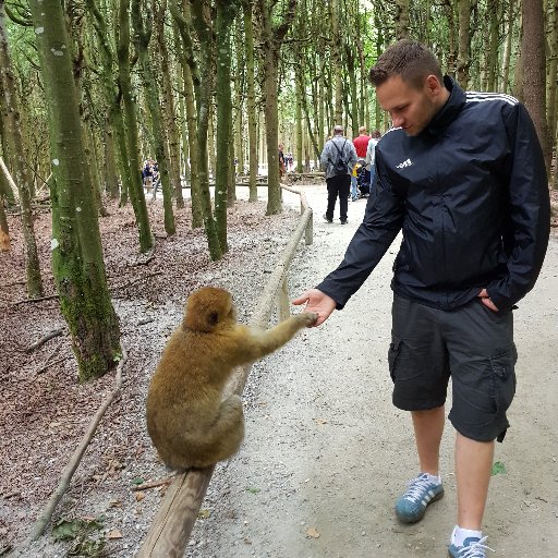 Labadinho's profile picture. CTO @ bazuba Deutschland GmbH