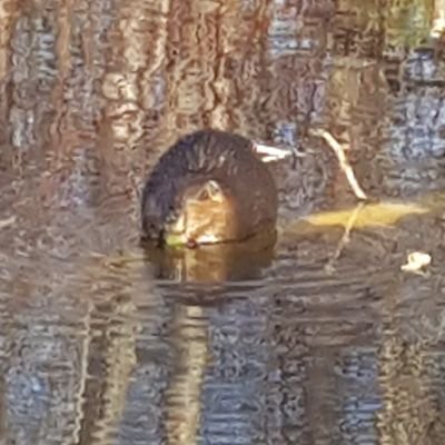 noahblake_67's profile picture. idk