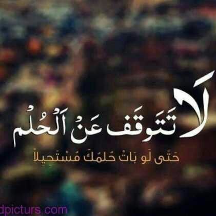 mEPCS1szkrQ76W7's profile picture. أريد بنت في صنعاء مربرب مايهم العمر حتى فوق الأربعين ياريت طيز كبير