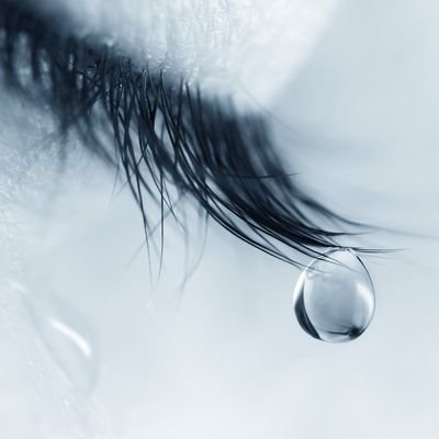 Bookx11's profile picture. 