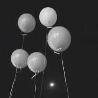 Waad. (@waxad469) Twitter profile photo