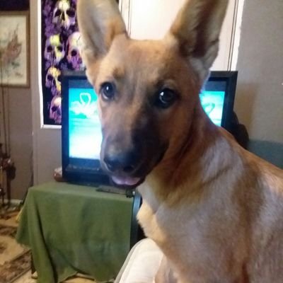 DylanEncinias's profile picture. 