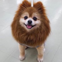 AI (@a_chan0325u) Twitter profile photo