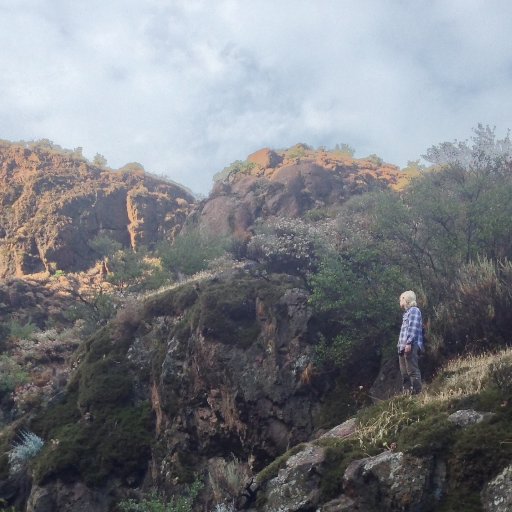 NaughtonIda's profile picture. CNLM Preserve Manager. UC San Diego Ecology, Behavior, Evolution PhD 2021: ant phylogenomics 🐜. she/her