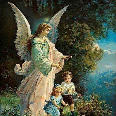 JohnJos69211404's profile picture. Planter