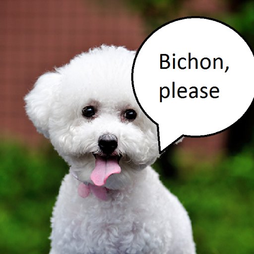 Barking out #auspol sexism. Criticising a woman's clothing/voice/parental status/age? This Bichon bites.