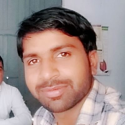 Software Developer