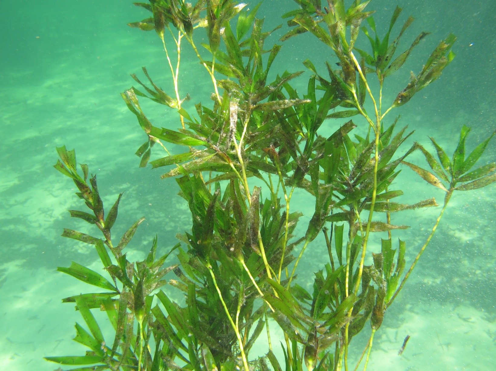 GaryAKendrick's profile picture. 