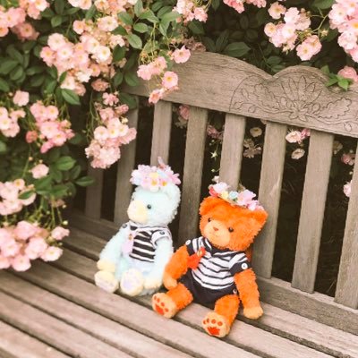 月宮あいさんのプロフィール画像