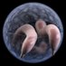 netdster (@netdster) Twitter profile photo netdster (@netdster) Twitter profile photo
