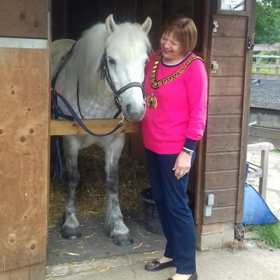 CllrBFitzsimon's profile picture. Councillor for the Borough of Welwyn Hatfield, Haldens Ward