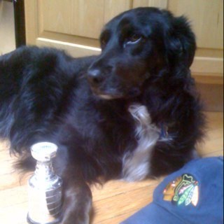 michaeljwells's profile picture. 