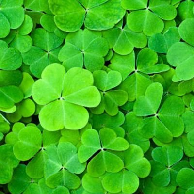 ja7Cx1jkbX3mpBK's profile picture. 