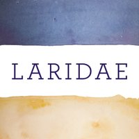 Laridae (@laridaecomms) 's Twitter Profile